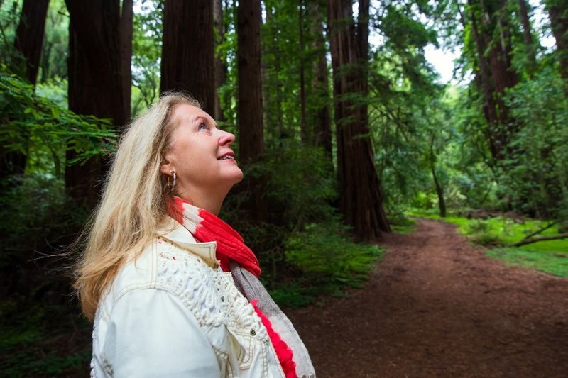 Muir Woods Redwood Forest and Sausalito Tour from San Francisco - Taking a short break in Sausalito