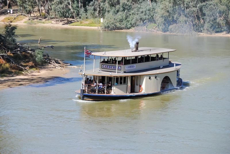 Murray River Paddlesteamer Cruise in Echuca - One hour on the Murray