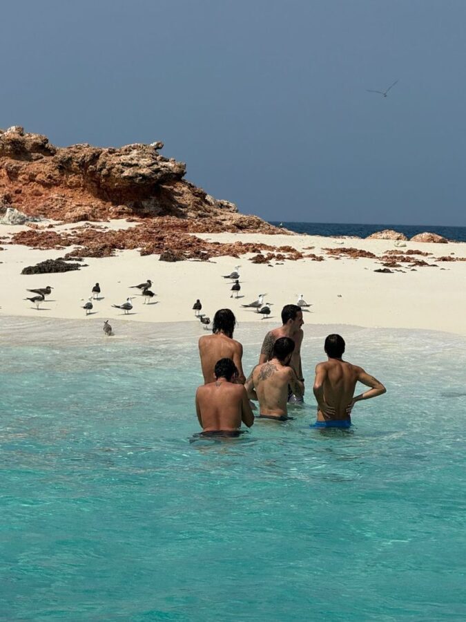 Muscat: Snorkeling with Turtles at Daymaniyat Islands Nature Reserve - Two reef stops, with turtles as the hopeful highlight