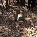 Muslim Friendly: Cu Chi Tunnels & Wholes Sales Shopping Day Tour - A guided morning at the Ben Dinh tunnels