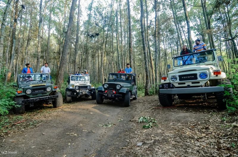 Muslim Friendly: Mount Batur Trekking and Jeep Tour in Bali - Muslim-friendly support, with room to make a prayer stop