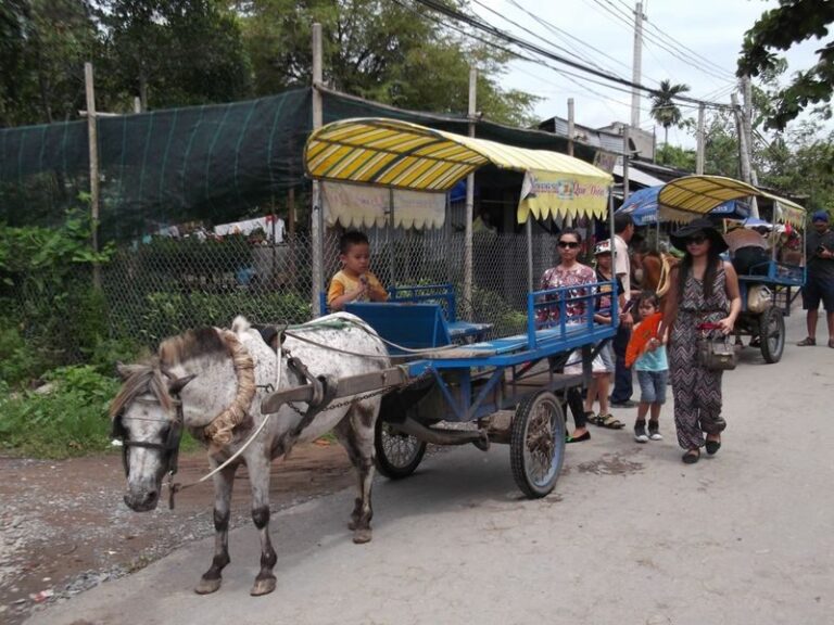 Muslim Friendly: My Tho & Thoi Son Island Mekong Delta Day Tour with Halal Lunch - Thoi Son Island and the local stops