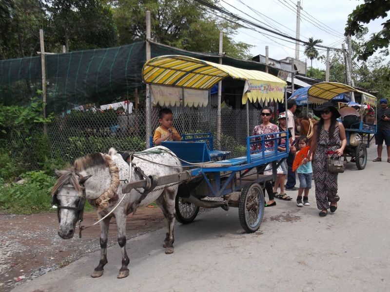 Muslim Friendly: My Tho & Thoi Son Island Mekong Delta Day Tour with Halal Lunch - Thoi Son Island and the local stops