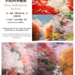 Must-See Autumn Foliage Spots in Nagoya, Japan | Kokeizan Eiho-ji Temple: 700-Year-Old Ginkgo Trees & the Unique Spectacle of Obara Cherry Blossoms and Maple Leaves Together & Korankei Valley Autumn Leaves One-Day Tour - Obara: autumn cherry blossoms, if the timing works