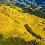 Must-see in Guilin! Longji Rice Terraces Day Tour from Guilin (round trip from Guilin city) - Huangluo Yao Village and its long-haired tradition