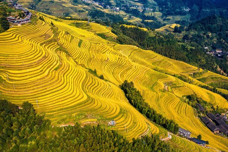 Must-see in Guilin! Longji Rice Terraces Day Tour from Guilin (round trip from Guilin city) - Huangluo Yao Village and its long-haired tradition