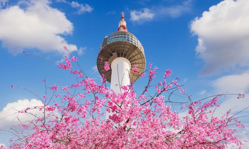 Must-Visit Hotspots in Seoul and Gyeonggi-do Private Tour - What the Icheon afternoon and evening actually look like