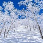 Nabana no Sato & Gozaisho Ropeway Full-Day Winter Group Tour - Gozaisho Ropeway: a ride into winter