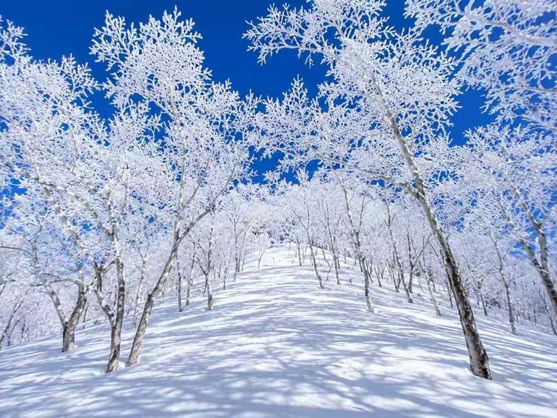 Nabana no Sato & Gozaisho Ropeway Full-Day Winter Group Tour - Gozaisho Ropeway: a ride into winter