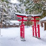 Nagano Jigokudani Monkey Park & Zenkoji Temple Full-Day Private Tour - Jigokudani’s monkeys are the main event