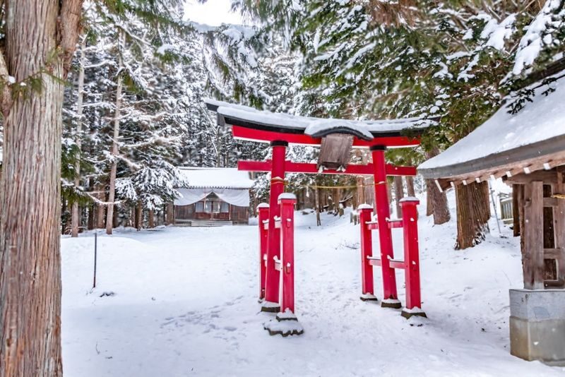 Nagano Jigokudani Monkey Park & Zenkoji Temple Full-Day Private Tour - Jigokudani’s monkeys are the main event