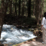 Nagano Matsumoto Castle & Kamikochi Full-Day Private Tour - Kamikochi: the nature half of the day