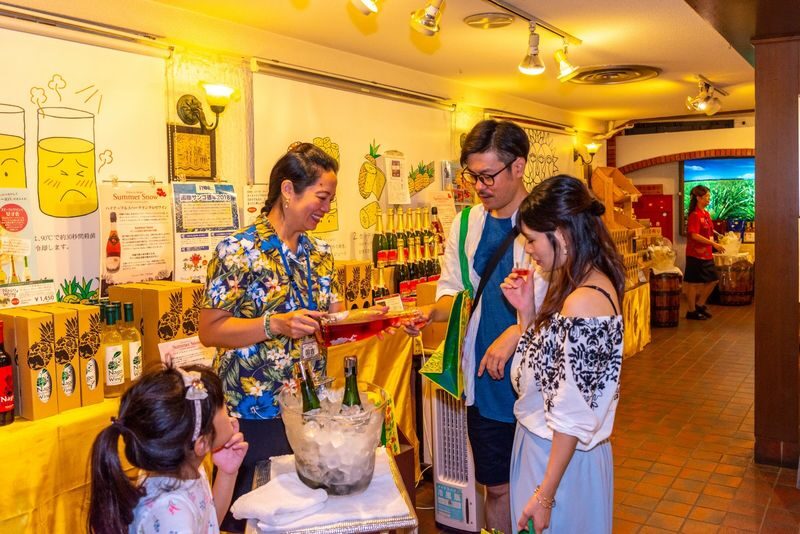 Nago Pineapple Park Ticket in Okinawa - Pineapples, dinosaurs and butterflies
