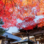 Nagoya Inuyama Castle, Magome-juku Full-Day Tour with Ena Gorge - The quieter side of the post-town route