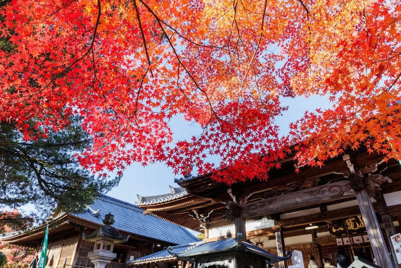 Nagoya Inuyama Castle, Magome-juku Full-Day Tour with Ena Gorge - The quieter side of the post-town route