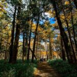 Nagoya Kamikochi Full-Day Hiking Tour with Myojin Pond - The day starts with a long journey from Nagoya