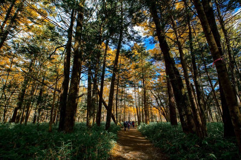 Nagoya Kamikochi Full-Day Hiking Tour with Myojin Pond - The day starts with a long journey from Nagoya