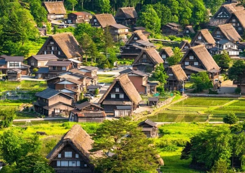 Nagoya Shirakawa-go & Hida Takayama One-Day Tour - Gujo Hachiman: waterways, old streets, and a castle option