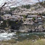 Nagoya Shirakawa-go & Takayama Jinya Full-Day UNESCO Tour - Takayama: lunch, old houses, and a quick browse