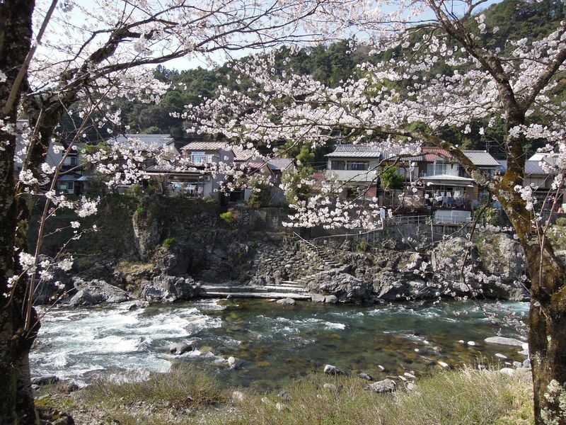 Nagoya Shirakawa-go & Takayama Jinya Full-Day UNESCO Tour - Takayama: lunch, old houses, and a quick browse