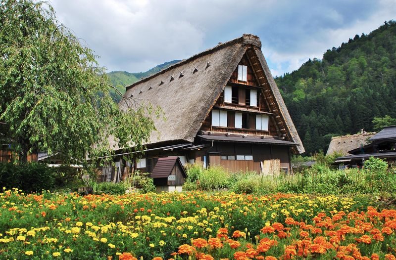 Nagoya to Shirakawa-go & Hida-Takayama Day Tour (including Hida beef meal) - Shirakawa-go’s gassho village is the visual highlight