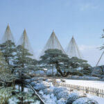 Nagoya World Heritage Shirakawa-go & Kanazawa Castle 2-Day Tour - Takayama’s old-town pause