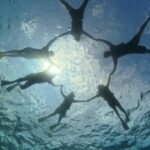 Naha Kerama Half Day Snorkeling (Pickup service included) - What you may see beneath the surface