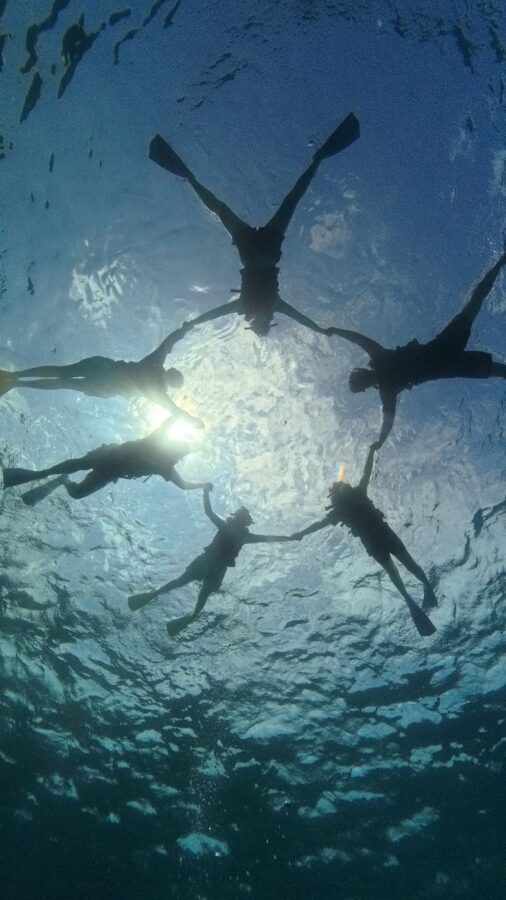 Naha Kerama Half Day Snorkeling (Pickup service included) - What you may see beneath the surface