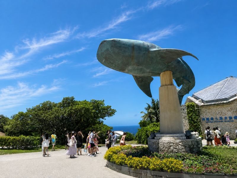Naha Okinawa Churaumi Aquarium & AEON Mall Rycom Full-Day Tour - What to expect at Churaumi Aquarium