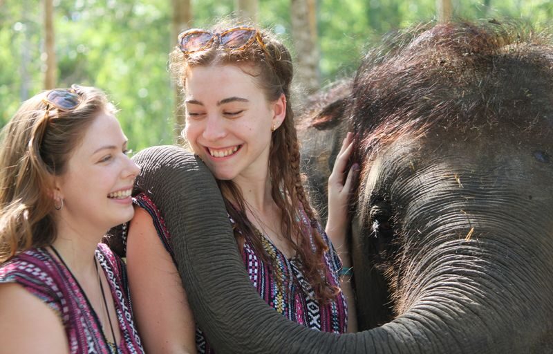 Naidee Elephant Care Park Experience in Phuket - Making elephant food gives you a role