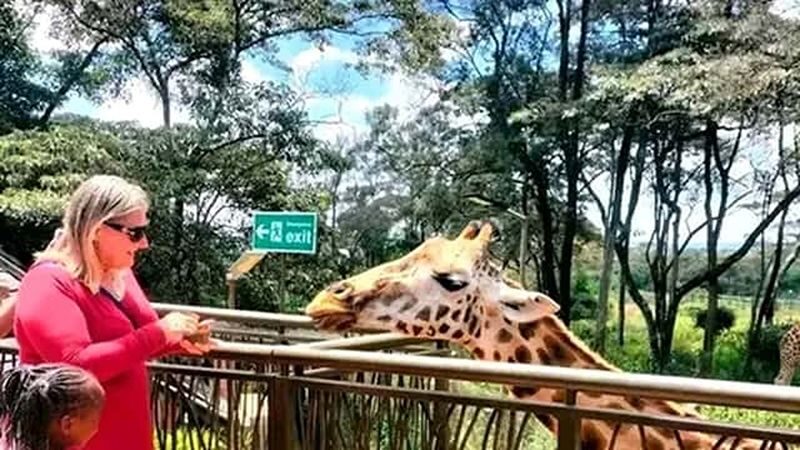 Nairobi Giraffe Centre & Kibera Slum Half-Day Tour with Local Village - Feeding giraffes at the Giraffe Centre