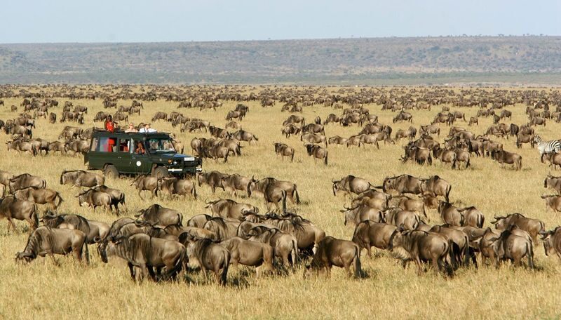 Nairobi Masai Mara Multi-Day Small Group Safari - Day two: longer game drive and a river visit