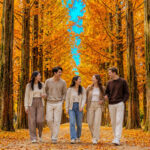 Nami Island All-in-One: Alpaca, Rail Bike,Garden Morning Calm & more - From Seoul to Nami Island
