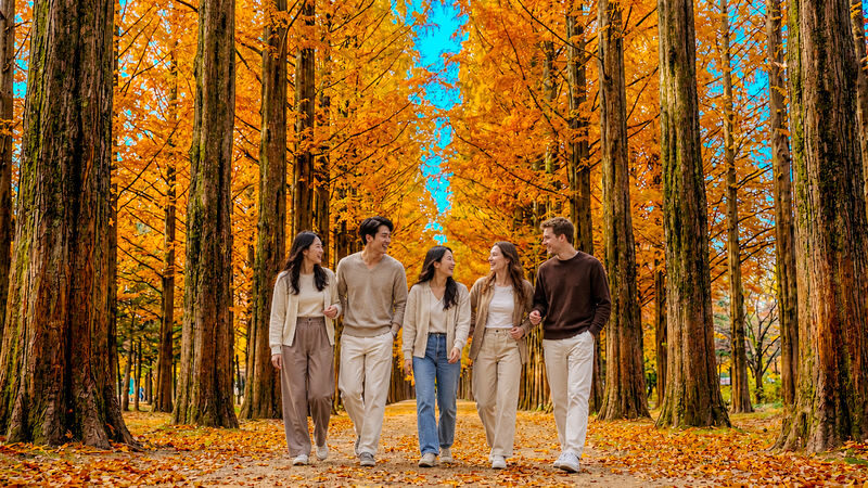 Nami Island All-in-One: Alpaca, Rail Bike,Garden Morning Calm & more - From Seoul to Nami Island