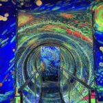 Nanjing Van Gogh Starry Sky Art Museum Ticket - From Starry Night scenes to the mirror maze
