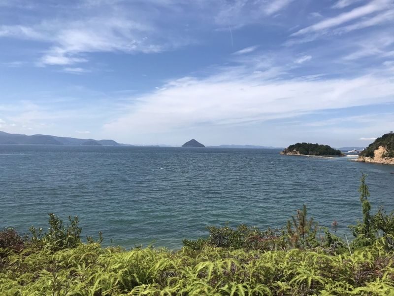 Naoshima Day Tour from Uno or Takamatsu with Cycling or Public Bus - How the art stops fit into the day