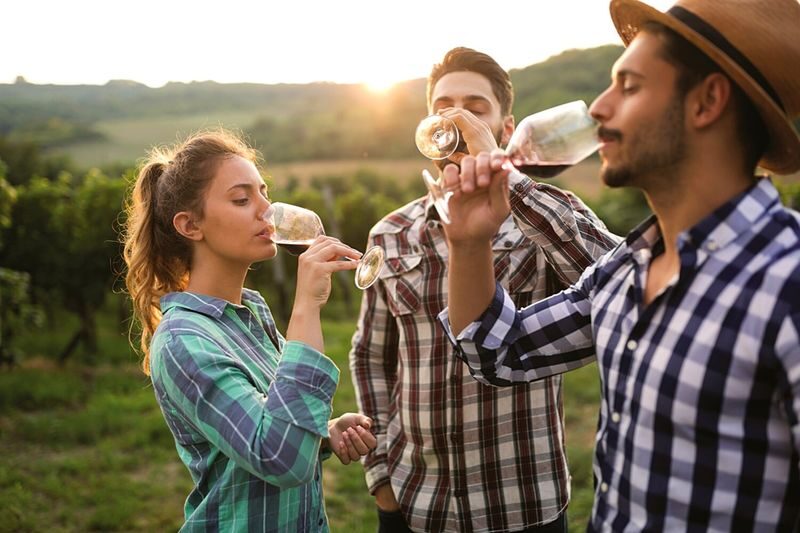 Napa Valley and Sonoma Full Day Wine Tour - Lunch is your own, and the town stop matters