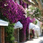 Naples Blue Grotto & Capri Full-Day Tour with Local Insider - Anacapri and the chair lift decision