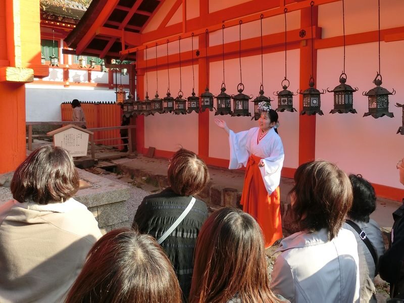 Nara Afternoon Tour from Kyoto & Osaka: Todai-ji, Nara Park & Kasuga - Kasuga Taisha: lanterns, forest and a closer look