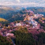 Nara Half-Day Small Group Tour - The guide can make a short visit easier