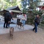 Nara Park & Kinkakuji Temple Heritage Tour with Tea Ceremony - Todai-ji and the Great Buddha Hall: the essential stop