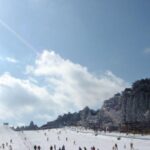 Nara Park & Mt. Rokko Snow Park Day Trip (From Osaka) - What the Rokko ticket does and does not cover