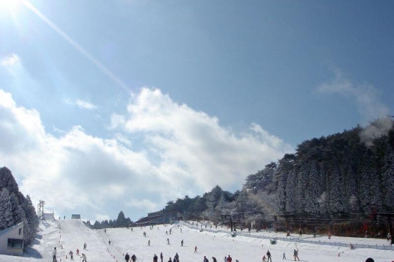 Nara Park & Mt. Rokko Snow Park Day Trip (From Osaka) - What the Rokko ticket does and does not cover