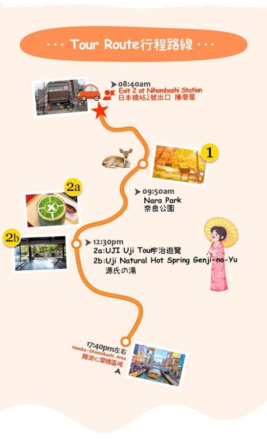 Nara & Uji Day Trip: Nara Park & Todai-ji Temple & Uji & Genji no Yu Onsen | Depart from Osaka - Choosing between Todai-ji and Kasuga Taisha