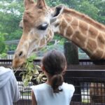 Nasu Safari Park Ticket - Choosing the right way through the safari zone