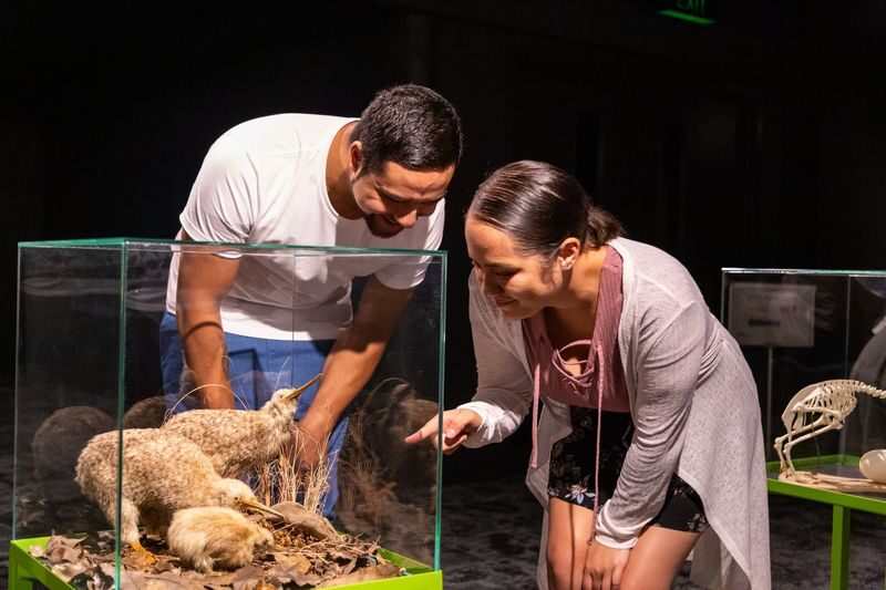 National Kiwi Hatchery - Kiwi Encounter Tour - From kiwi eggs to the nursery