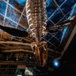 National Museum of Marine Biology and Aquarium Ticket - Walk beneath the Coral Kingdom