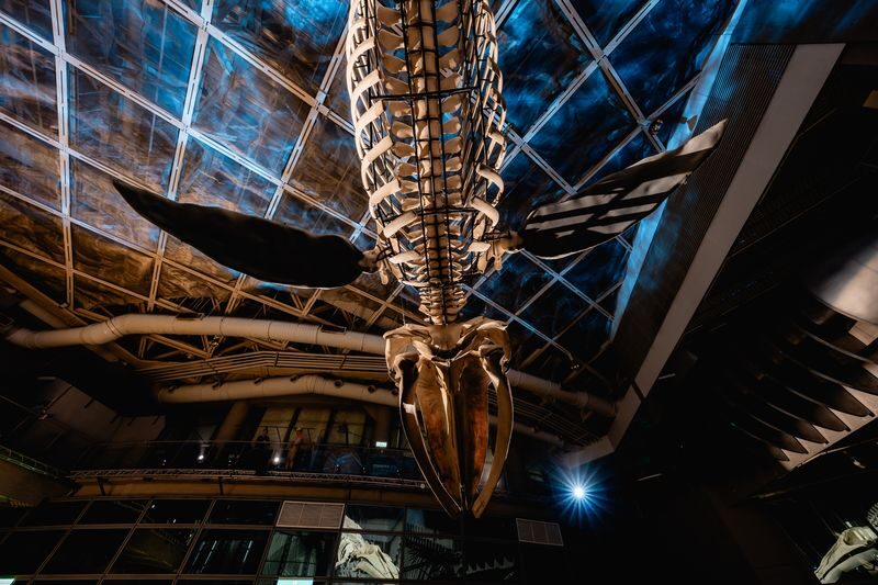 National Museum of Marine Biology and Aquarium Ticket - Walk beneath the Coral Kingdom