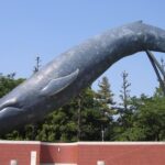 National Museum of Nature and Science Ticket in Tokyo - The Earth Gallery moves from dinosaurs to modern science