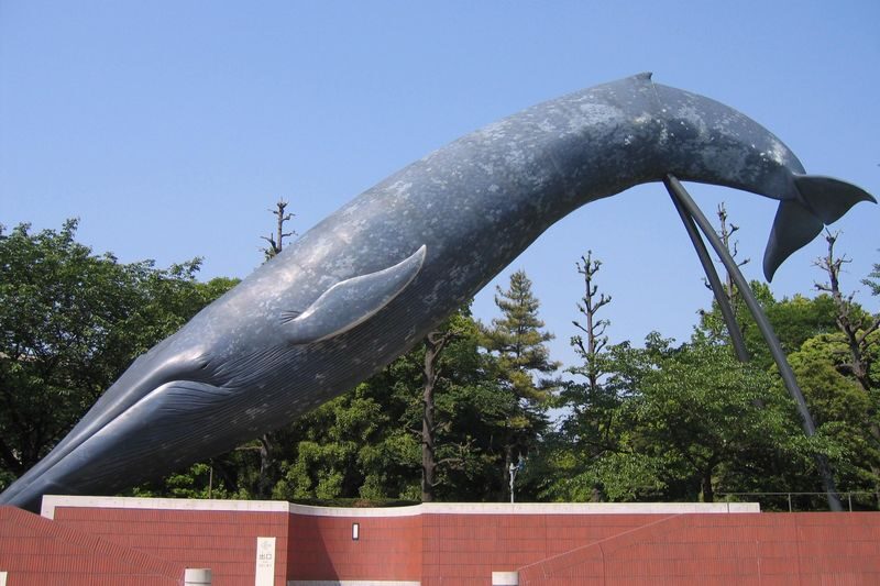 National Museum of Nature and Science Ticket in Tokyo - The Earth Gallery moves from dinosaurs to modern science